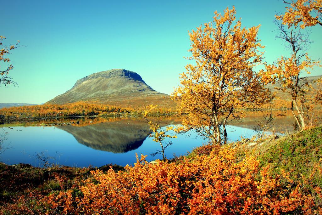 Saivaara Cottages Kilpisjarvi Ruang foto